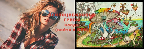 экстази Вяземский