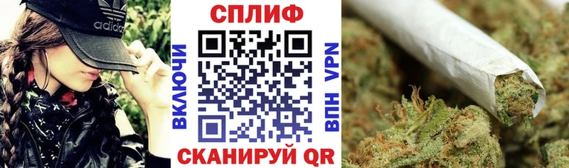 Конопля индика  Карачев 